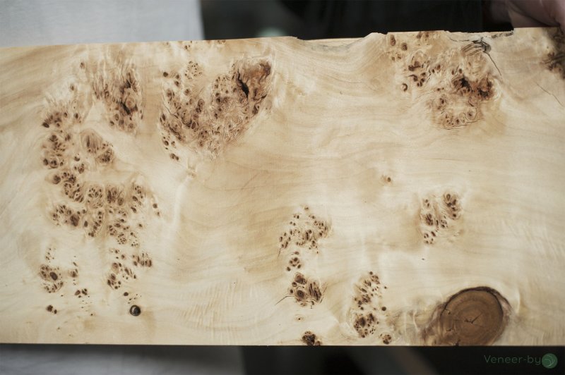 Шпон корень дуба