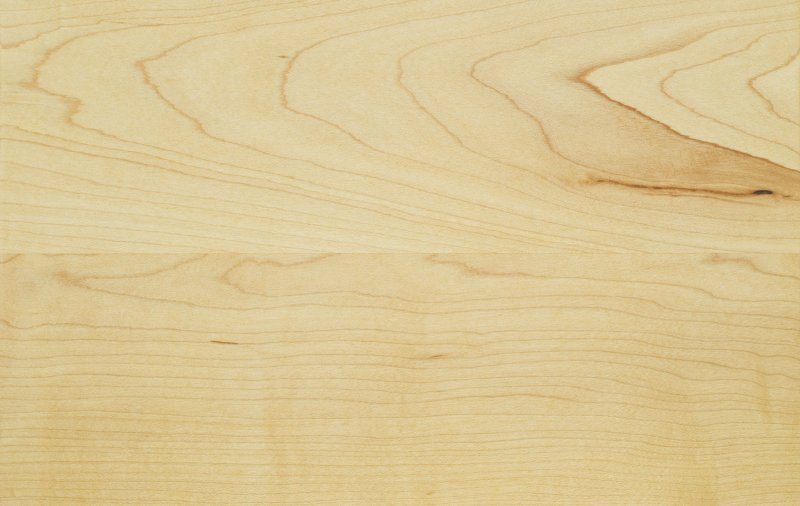 Клен текстура древесины