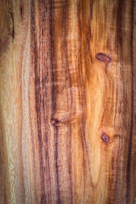 Акация Сибирская древесина