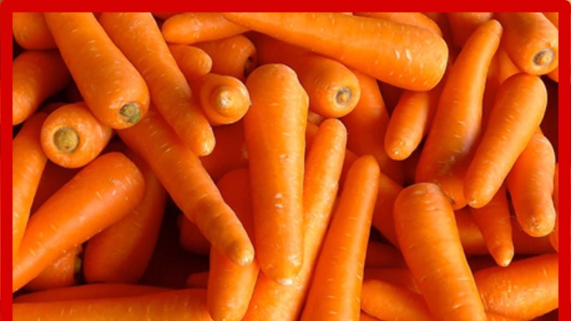 Оранжевая морковь