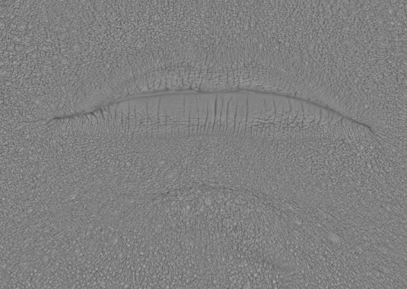 Кожа Zbrush Alpha текстура