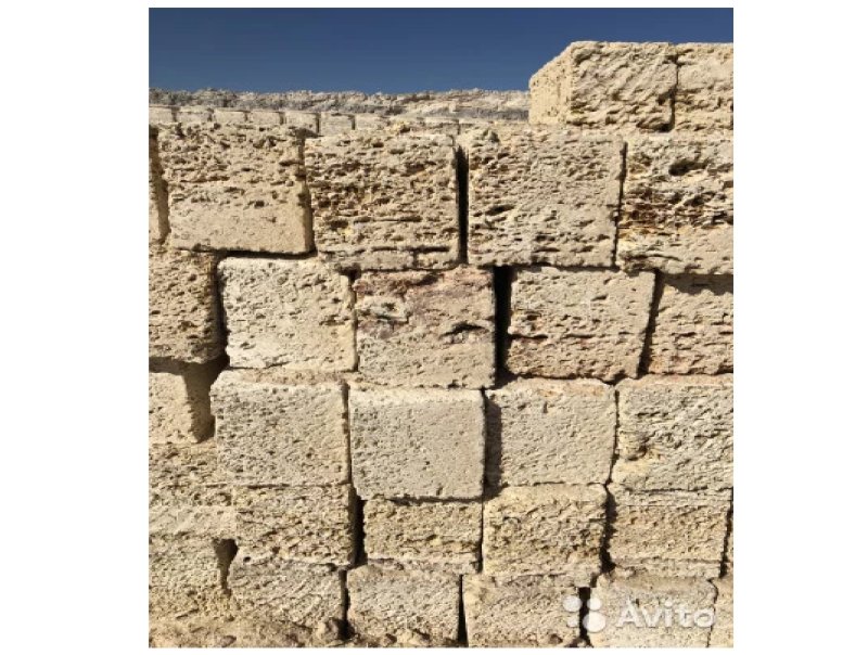 Известняк ракушечник