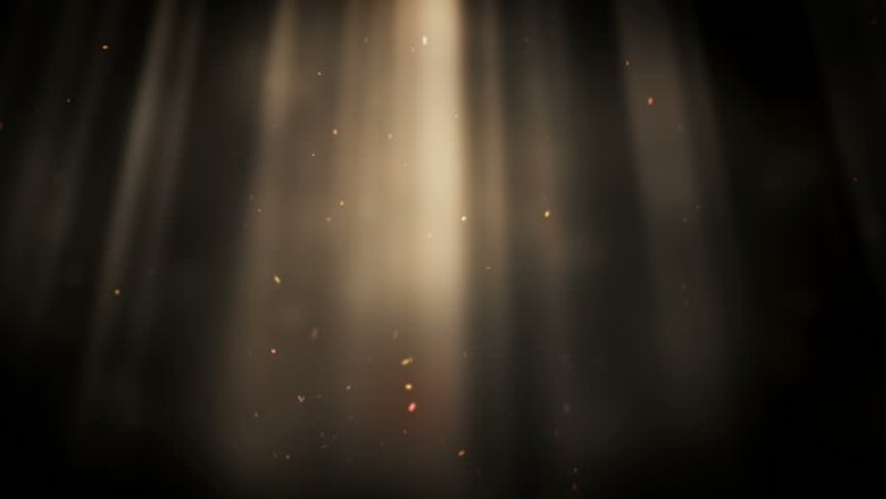 Былинки в солнечных лучах