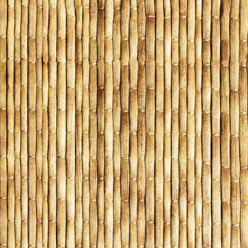 Бамбуковая стена