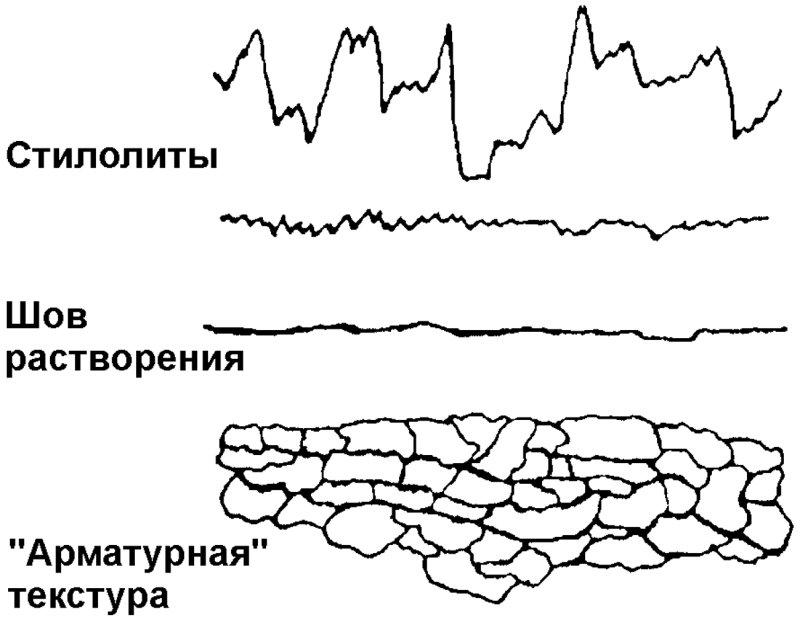 Стилолитовые швы