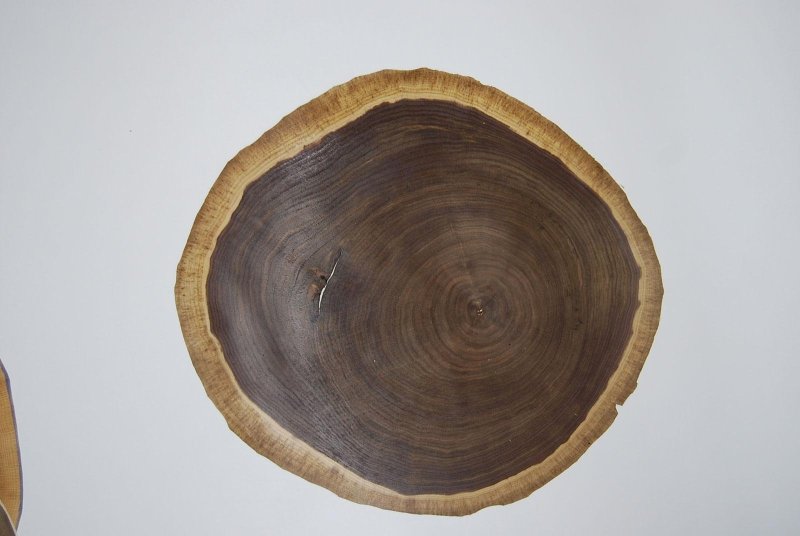 Бакаут срез