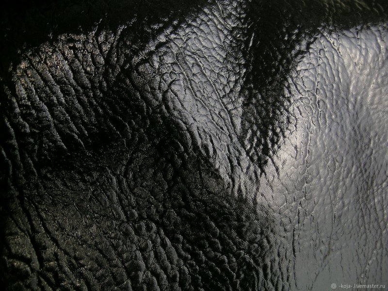 Лакированная искусственная кожа