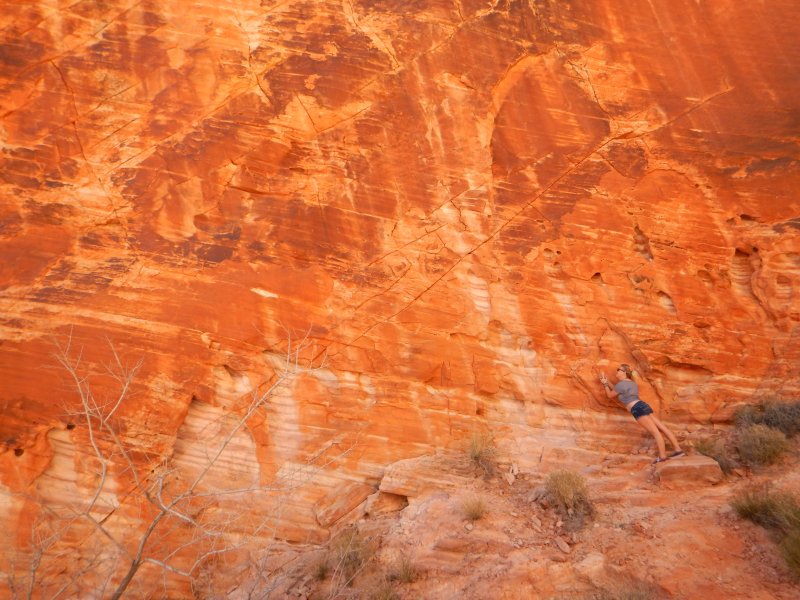 Пустынная скала текстура