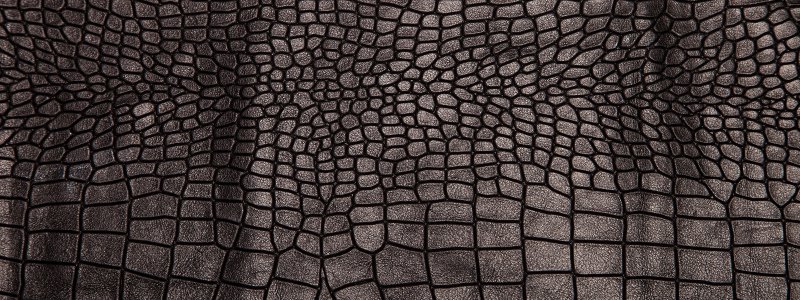 Змеиная кожа текстура