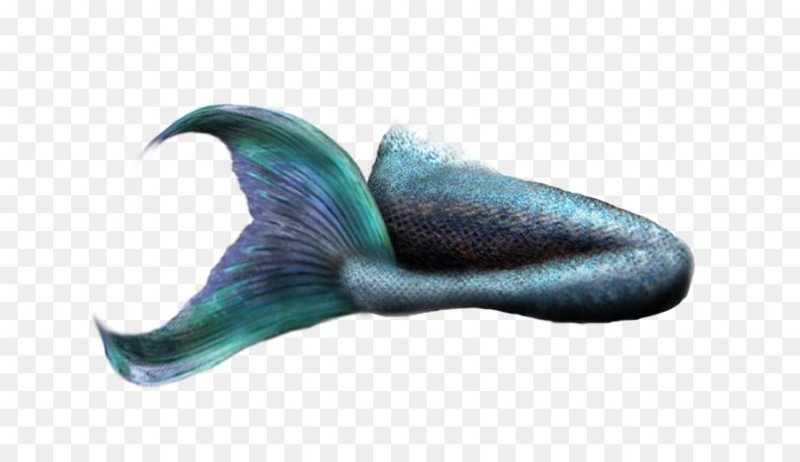 Sirena хвост русалки