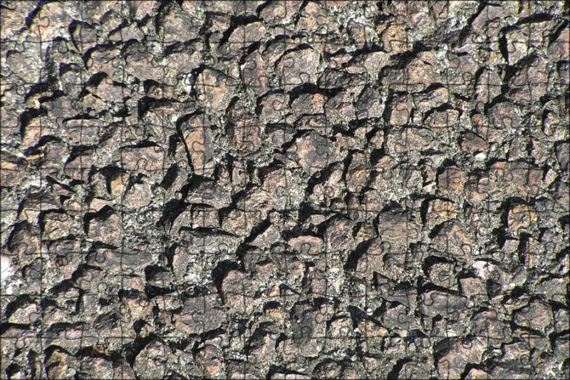 Шероховатая фактура