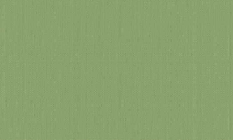 U630 st9 зелёный лайм