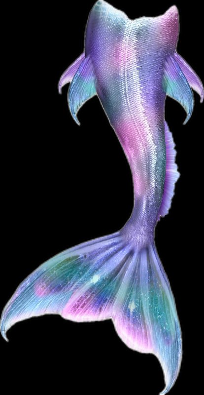 Русалий хвост