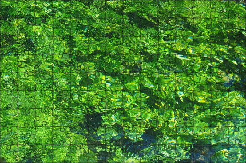 Зелёные водоросли