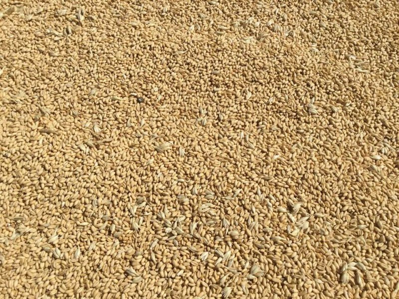 Дресвяный грунт