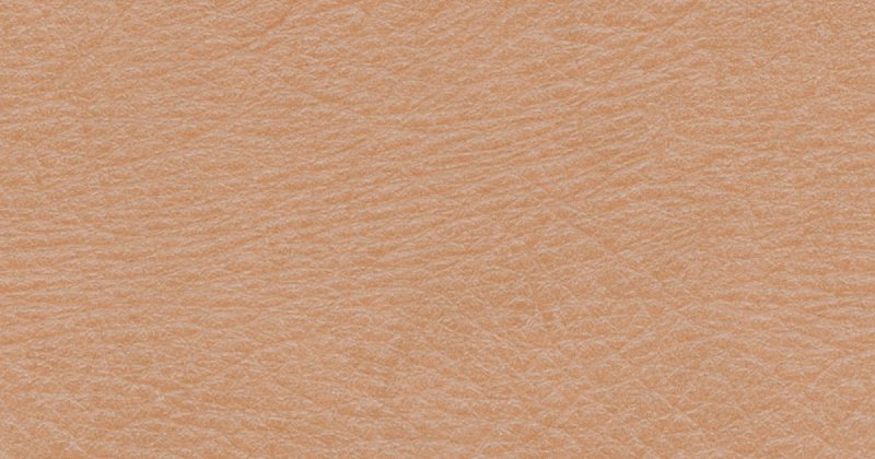 Текстура кожи лица