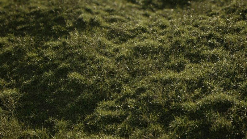 Трава для Юнити 3д