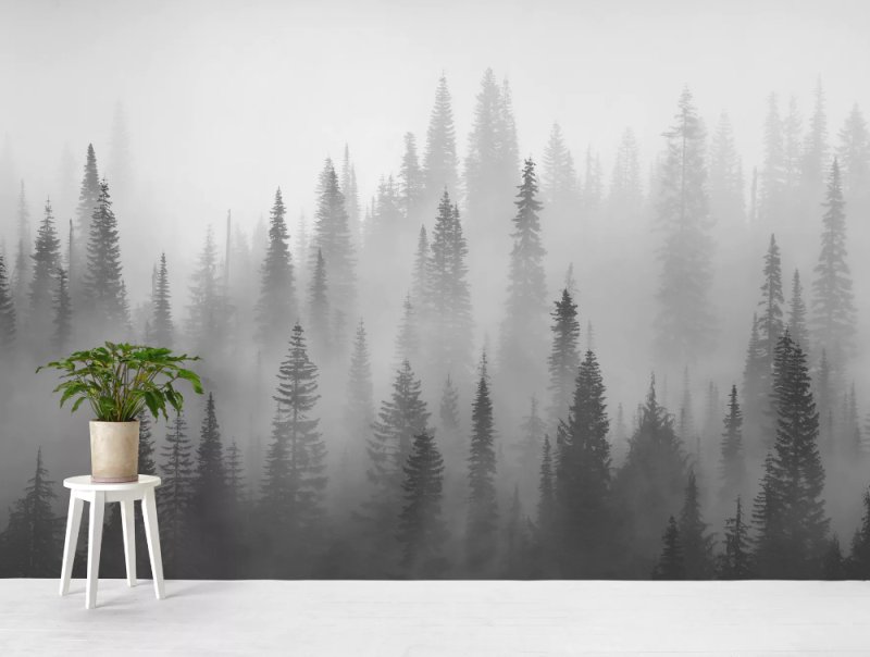 Мисти Форест туманный лес