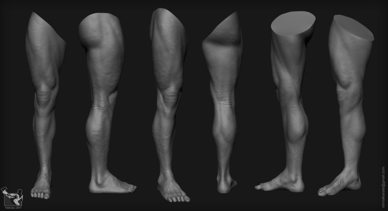 Анатомия стопы Zbrush