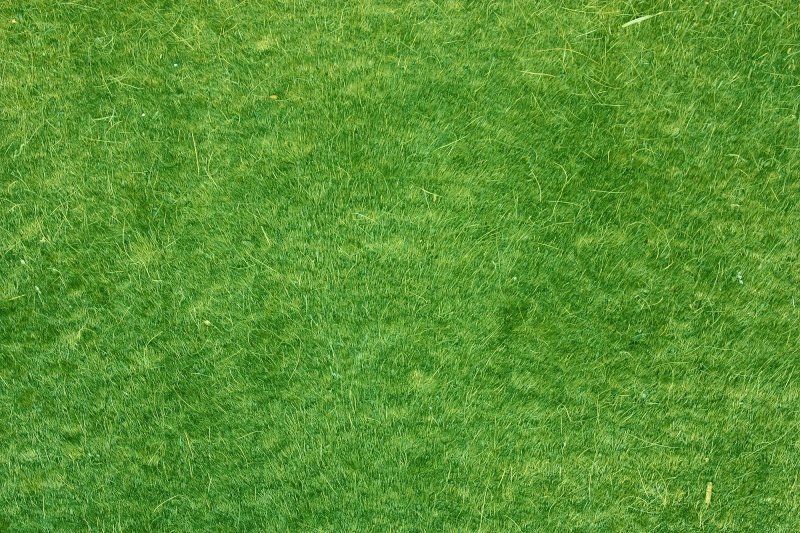 Бесшовная текстура травы архикад