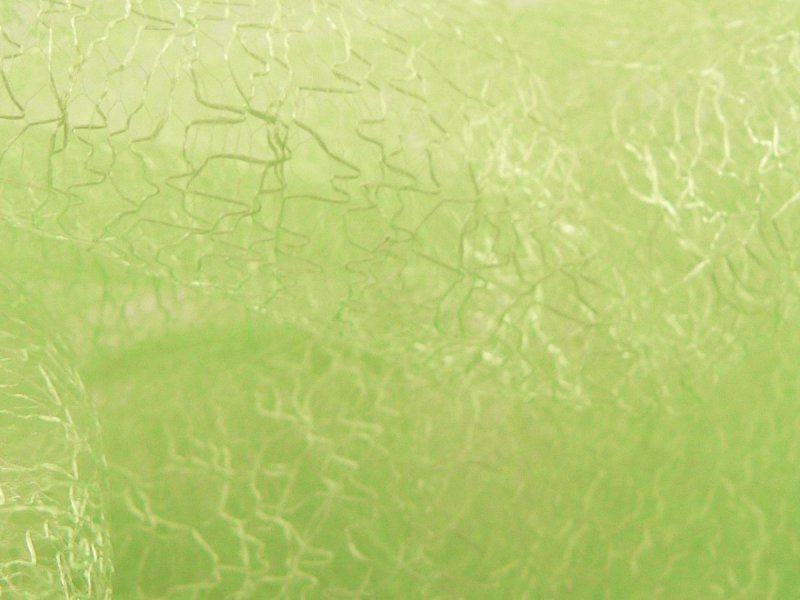 Фисташковый цвет фон