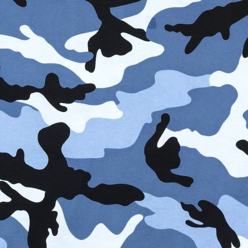 Бейп камуфляж синий