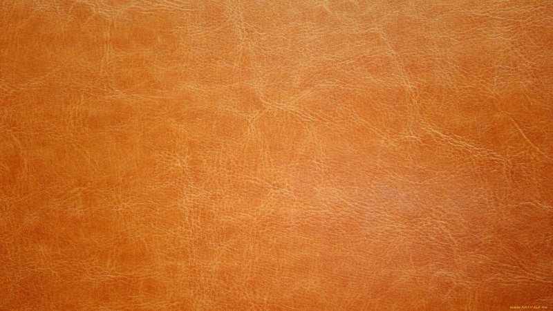 Коричневая кожа