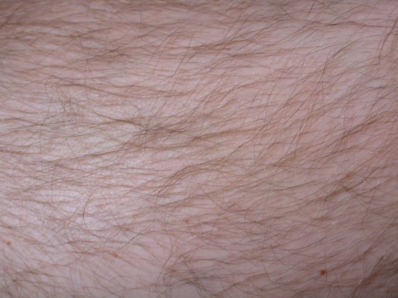 Текстура волосатой кожи