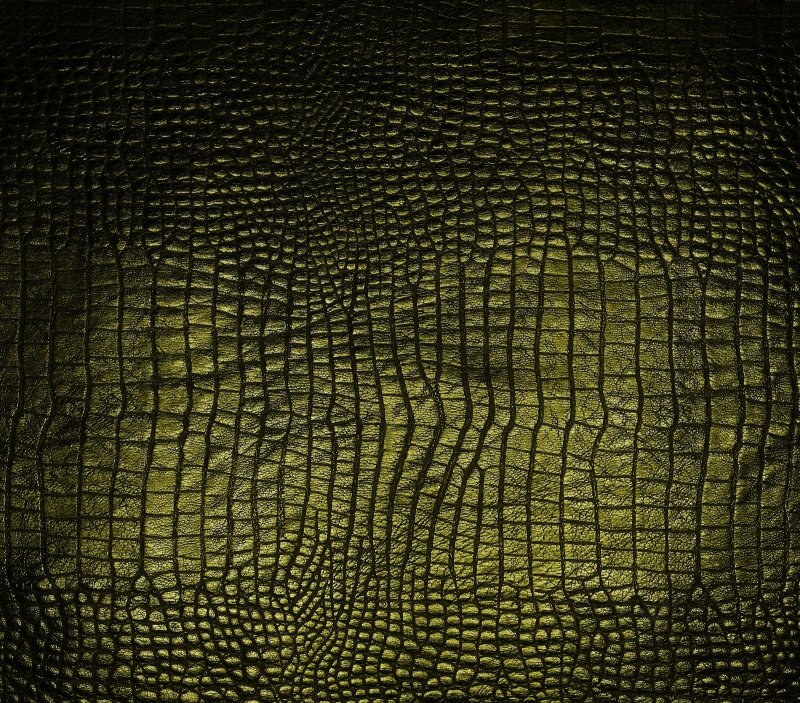 Кожа крокодила текстура