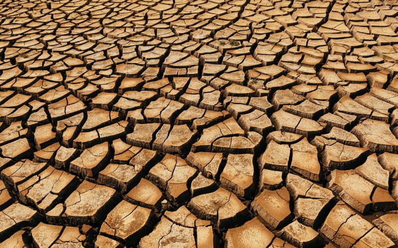 Потресканная земля