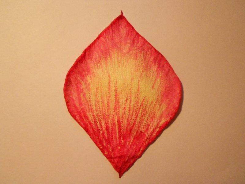 Лепестки цветов