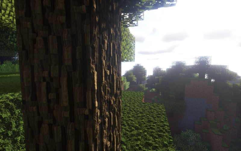 Акациевый лес майнкрафт