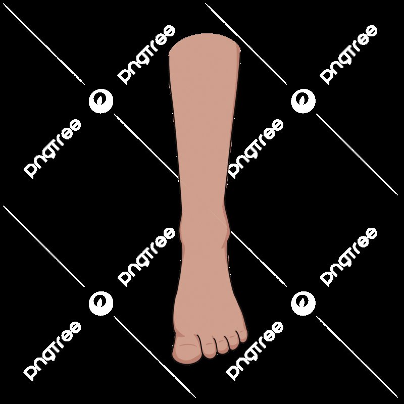 Ноги вектор