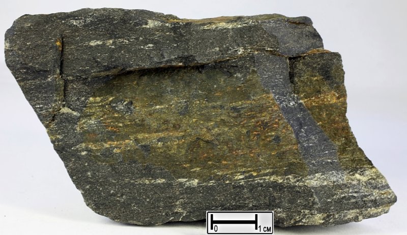 Кварц-серицитовый сланец