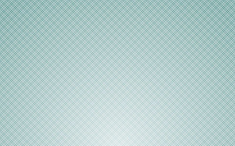 Защитная сетка гильош