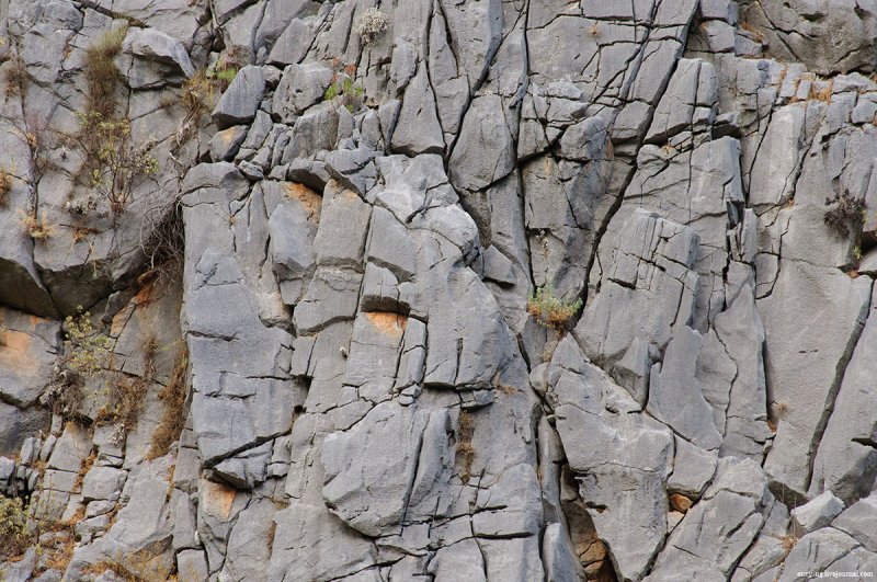 Скальник паруса Байкал