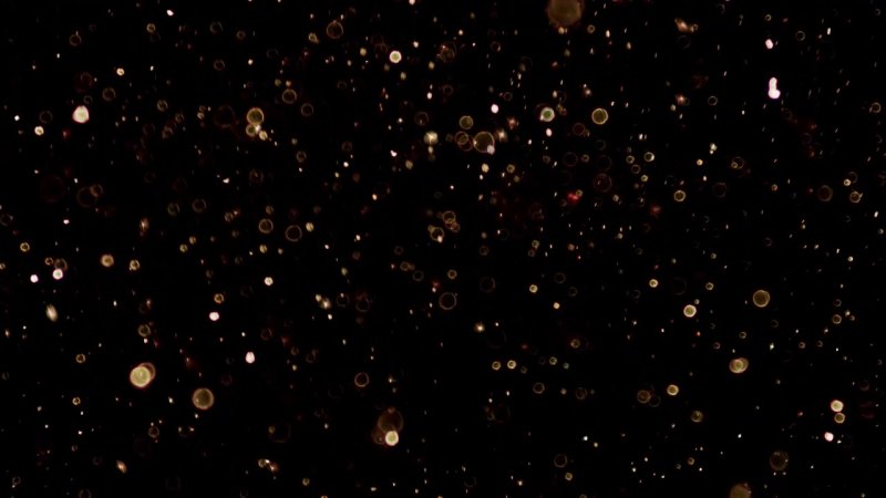 Блестки черные