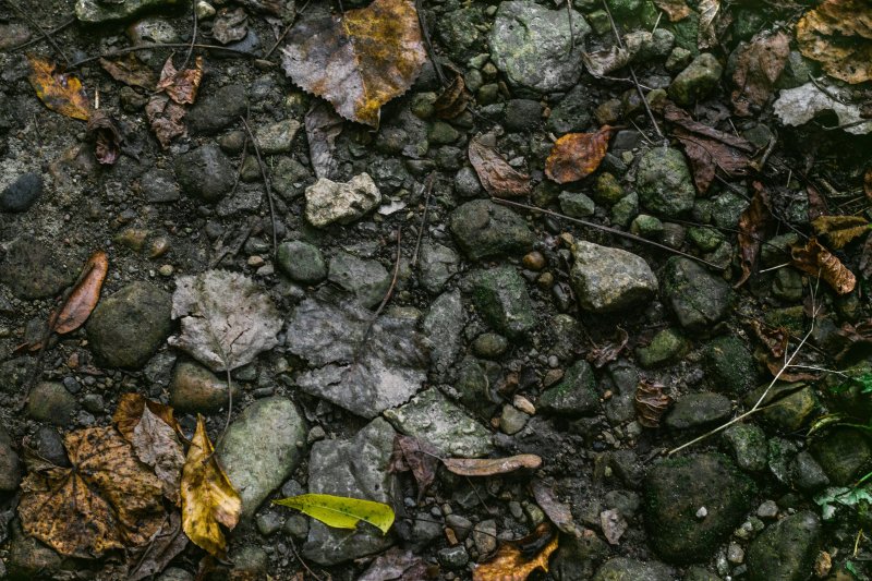 Текстура земли