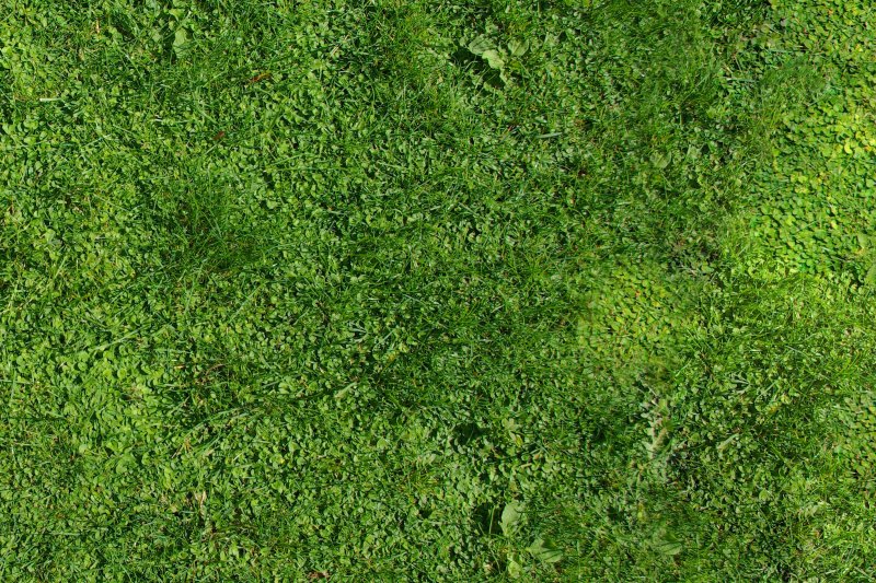 Природные фактуры