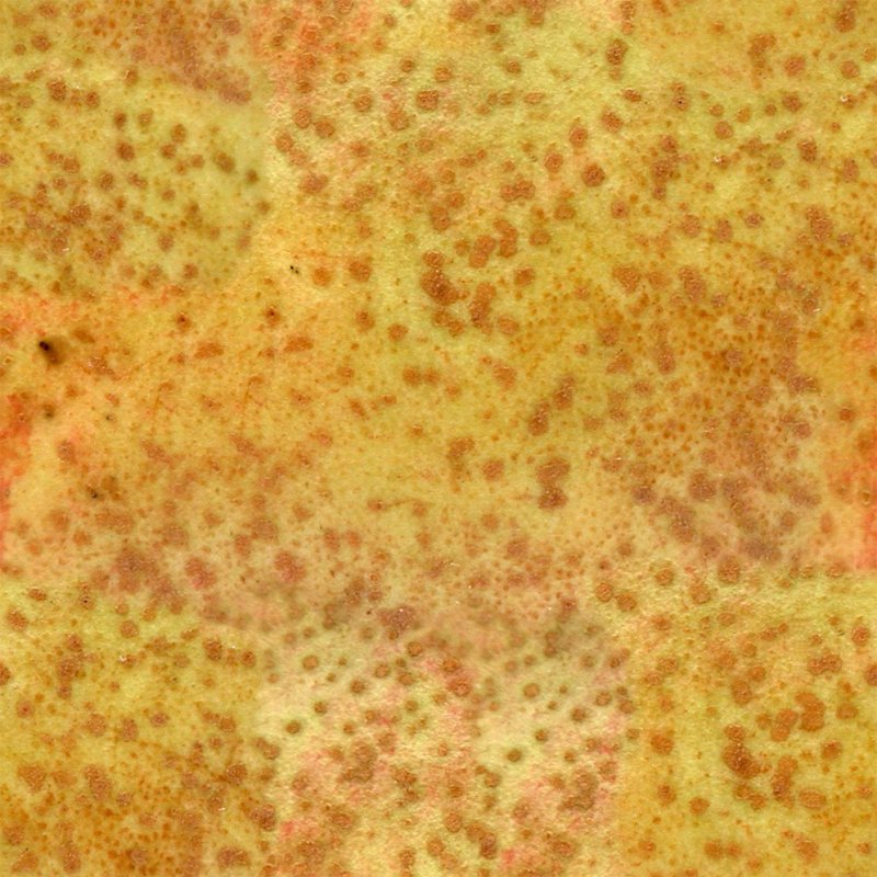 Текстура груши