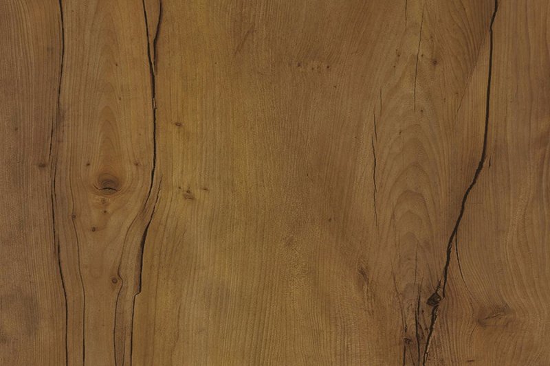 Таксония медовая