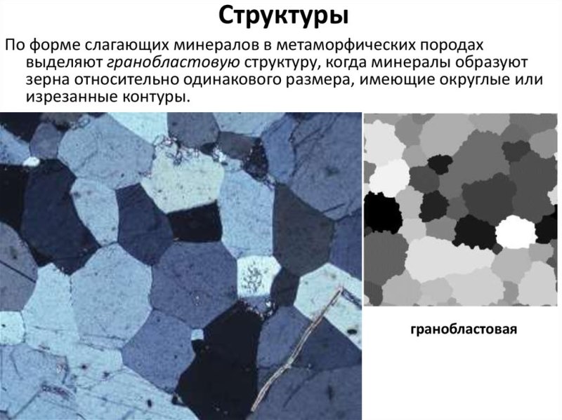 Лепидобластовая структура метаморфических пород