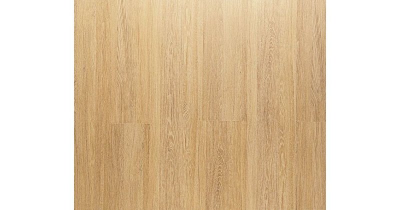 Дуб Сантана золотистый u3141