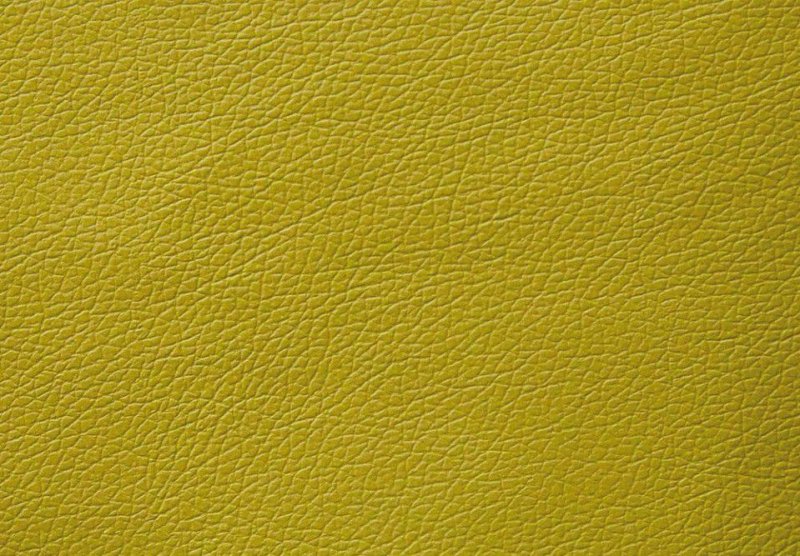 Текстура кожи