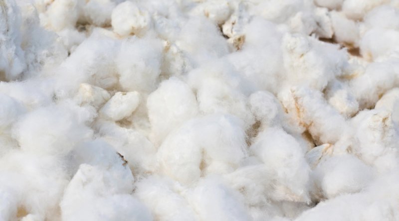 Хлопковое волокно