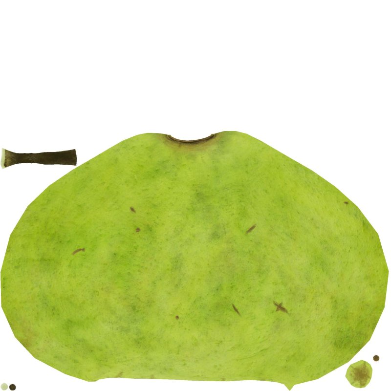 Текстура груши