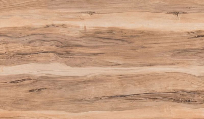 690 Индийское дерево кедр