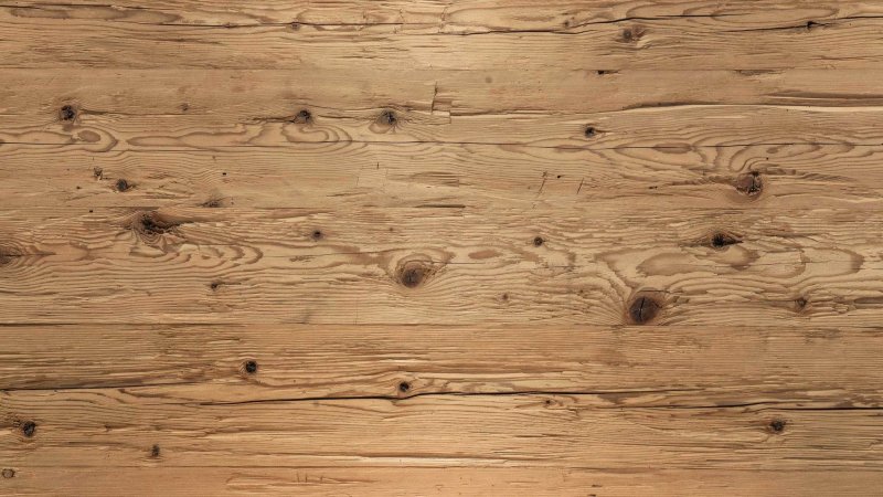 Текстура дерева