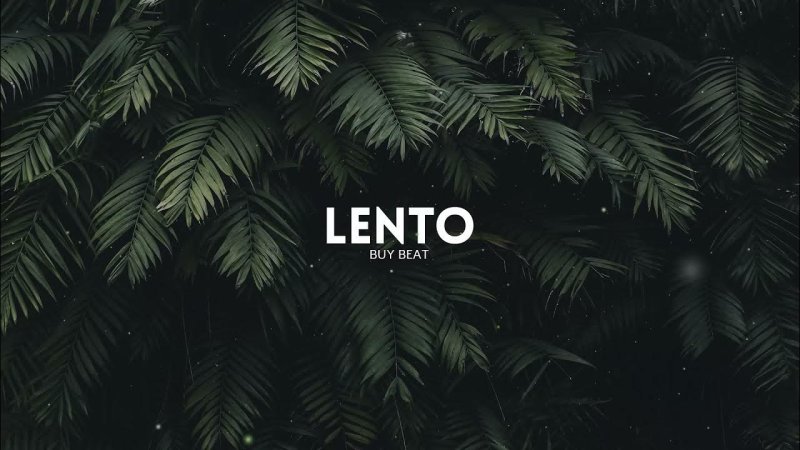 Золотой папоротник монстера