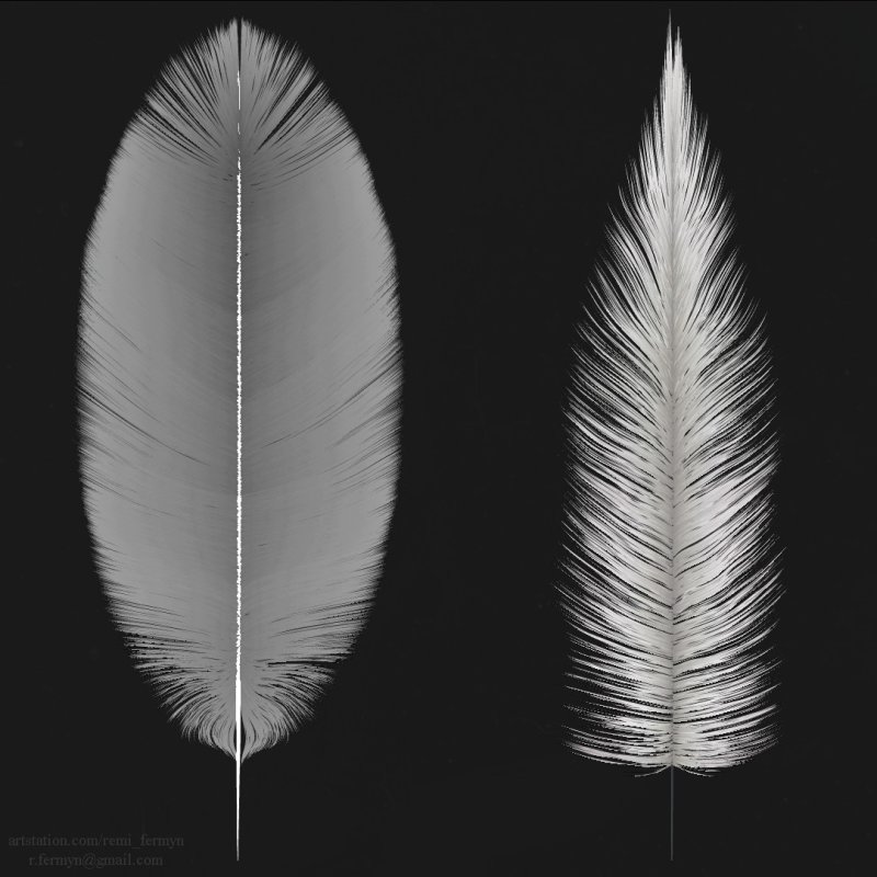 Zbrush Feather Alpha
